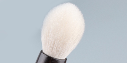 What Are Vegan Brushes Made Of?cid=45