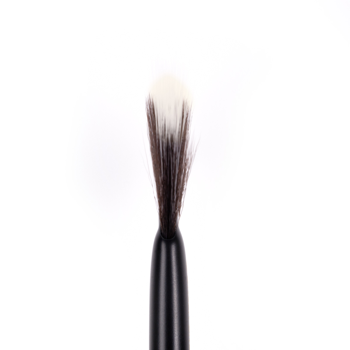 Quality Taklon Fiber Brushes Duo Fiber Fan Brush Manufacturer