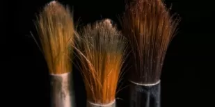 Natural Hair Makeup Brushes and the Different Animal Fibers with Their Unique Application Benefits